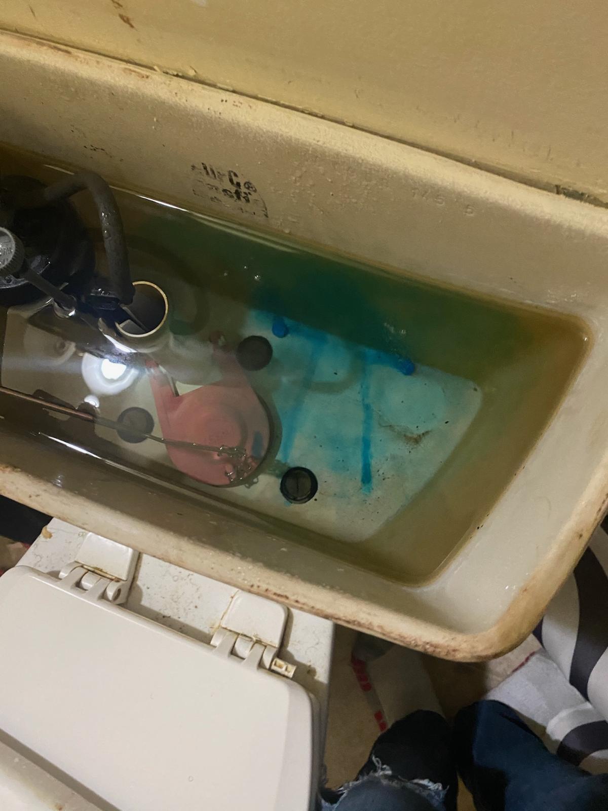 Toilet Leak Detector Tablets